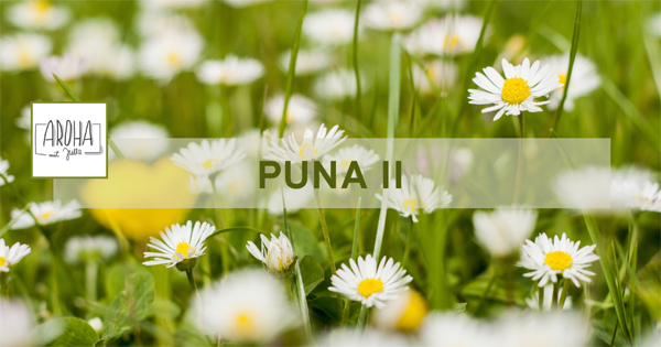 AROHA online Stunde Puna II