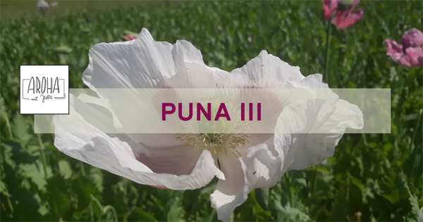 AROHA online Stunde Puna III
