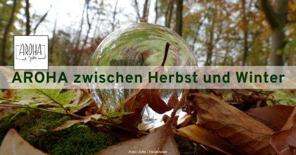 Grafik AROHA zwischen Herbst und Winter