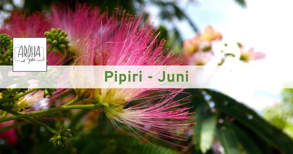 Pipiri-AROHA Onlinestunde Juni 2026